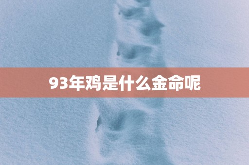 93年鸡是什么金命呢