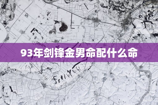 93年剑锋金男命配什么命