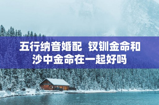 五行纳音婚配  钗钏金命和沙中金命在一起好吗