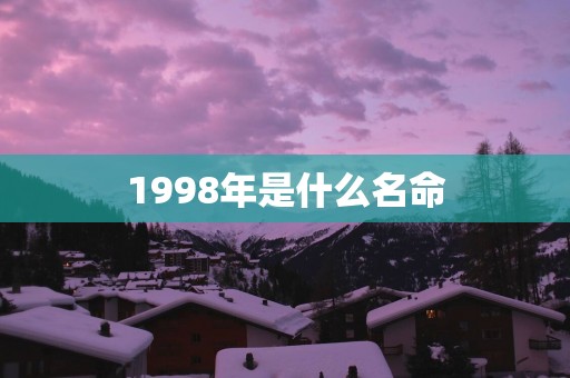 1998年是什么名命