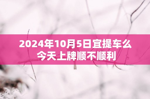 2025年10月5日宜提车么 今天上牌顺不顺利