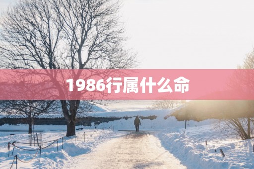 1986行属什么命