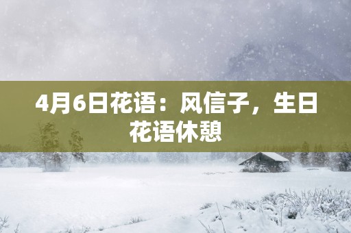 4月6日花语：风信子，生日花语休憩