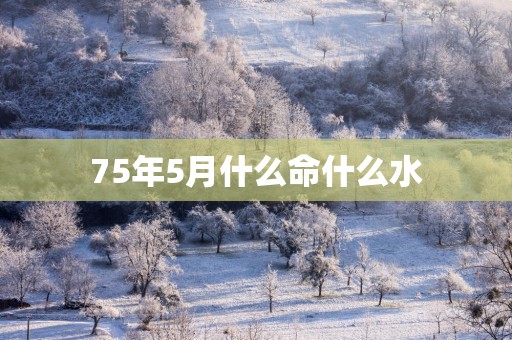 75年5月什么命什么水