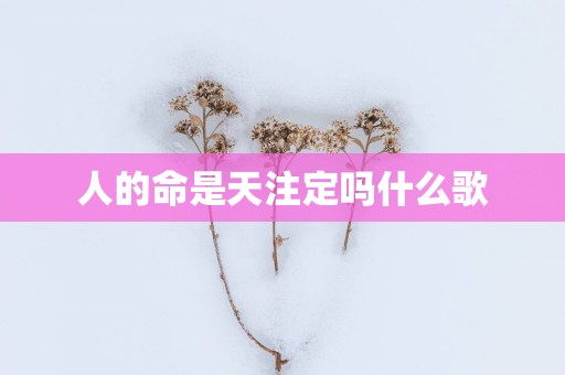 人的命是天注定吗什么歌