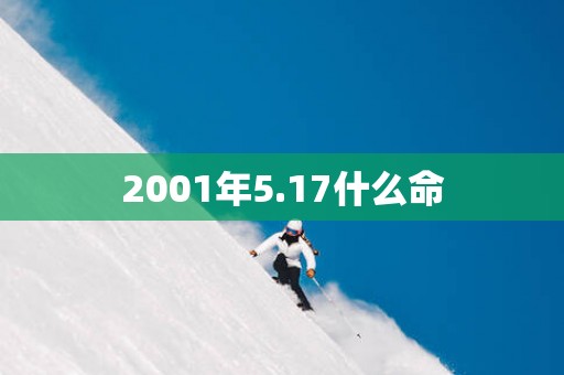 2001年5.17什么命