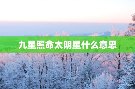 九星照命太阴星什么意思