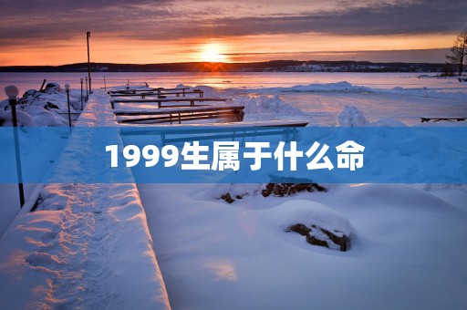 1999生属于什么命