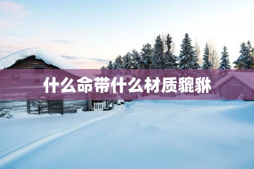 什么命带什么材质貔貅