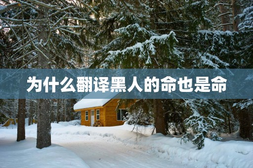 为什么翻译黑人的命也是命