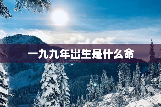 一九九年出生是什么命
