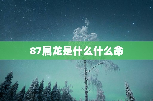 87属龙是什么什么命