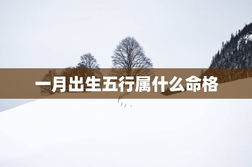 一月出生五行属什么命格