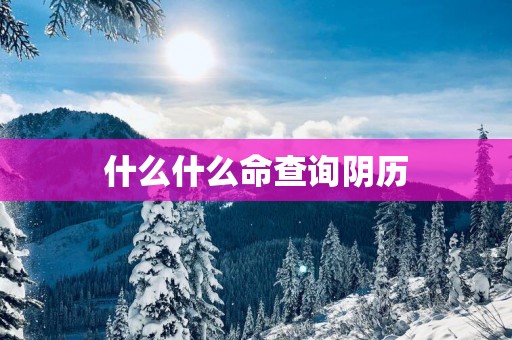 什么什么命查询阴历