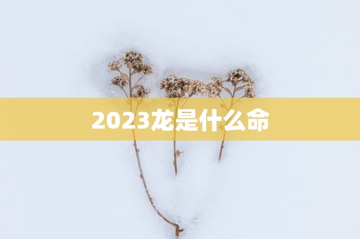 2025龙是什么命