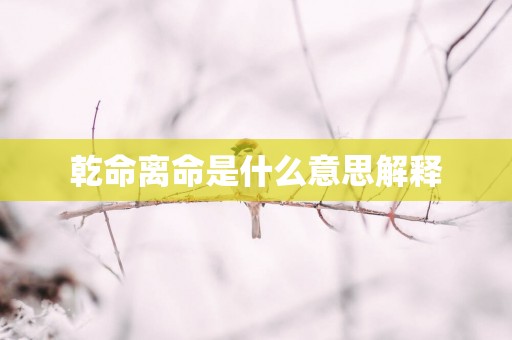 乾命离命是什么意思解释