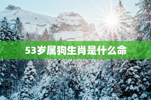 53岁属狗生肖是什么命