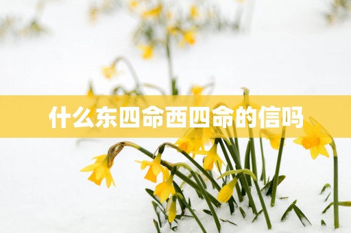 什么东四命西四命的信吗