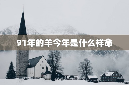 91年的羊今年是什么样命