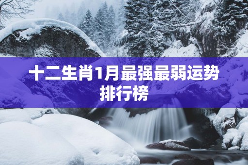 十二生肖1月最强最弱运势排行榜