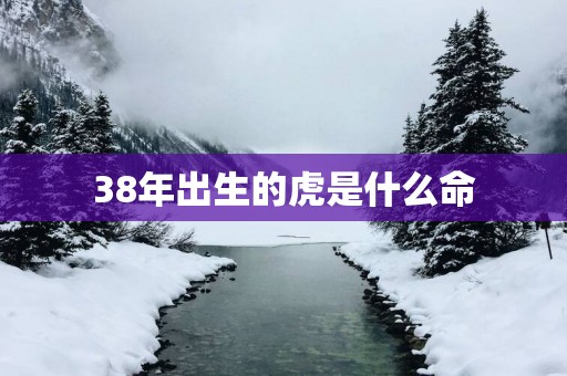 38年出生的虎是什么命
