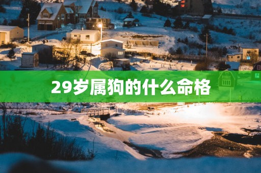 29岁属狗的什么命格