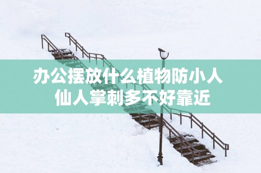 办公摆放什么植物防小人  仙人掌刺多不好靠近