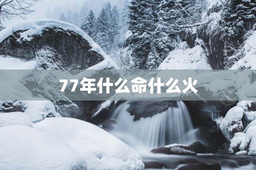 77年什么命什么火