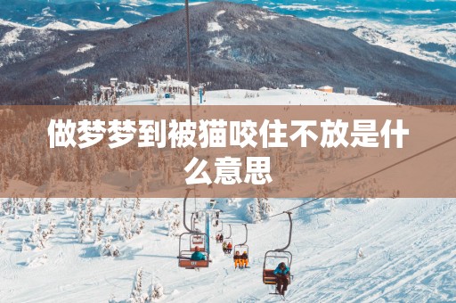 做梦梦到被猫咬住不放是什么意思
