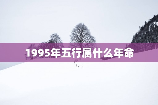 1995年五行属什么年命