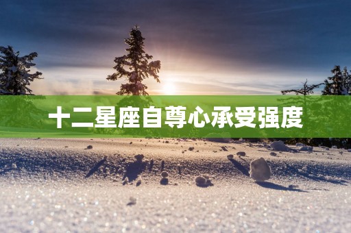 十二星座自尊心承受强度