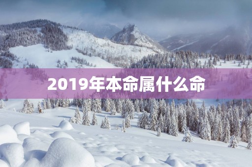 2019年本命属什么命