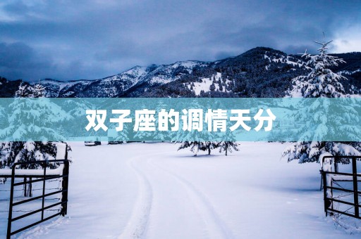 双子座的调情天分