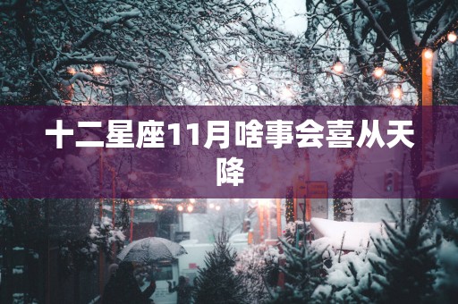 十二星座11月啥事会喜从天降