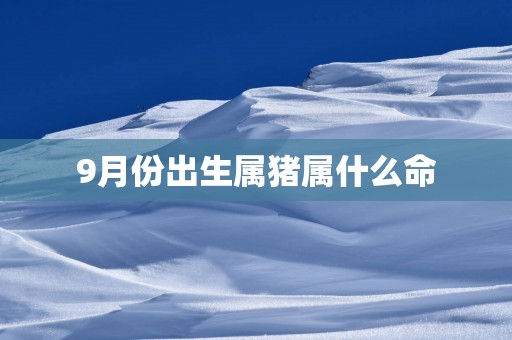 9月份出生属猪属什么命