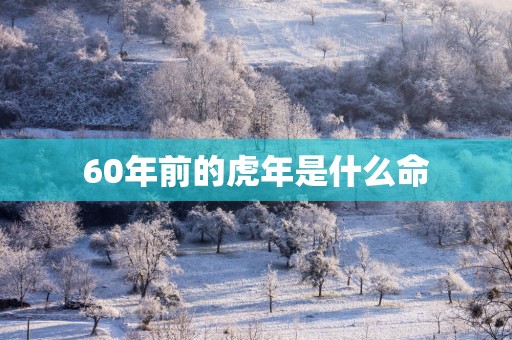 60年前的蛇年是什么命