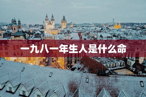 一九八一年生人是什么命