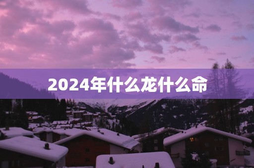 2025年什么龙什么命
