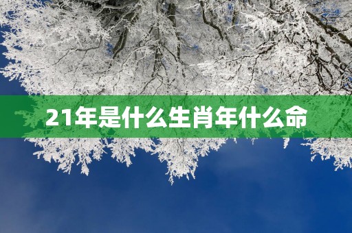 21年是什么生肖年什么命