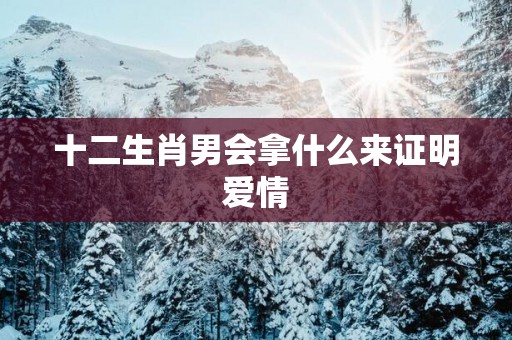 十二生肖男会拿什么来证明爱情