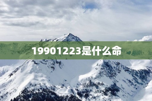 19901223是什么命