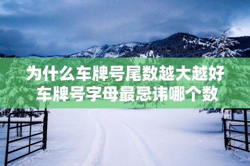 为什么车牌号尾数越大越好 车牌号字母最忌讳哪个数字