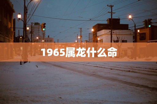 1965属龙什么命