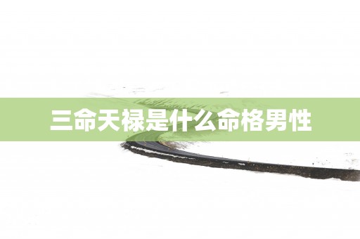 三命天禄是什么命格男性