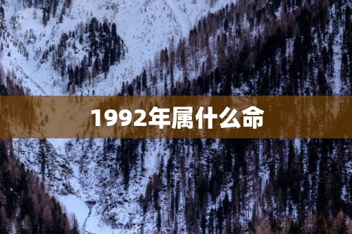 1992年属什么命