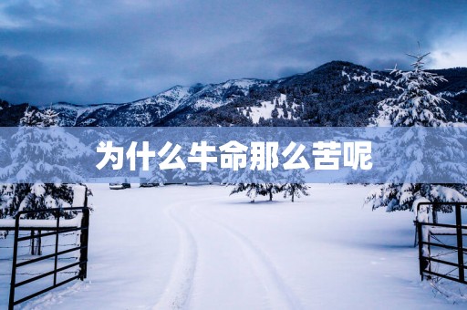 为什么牛命那么苦呢