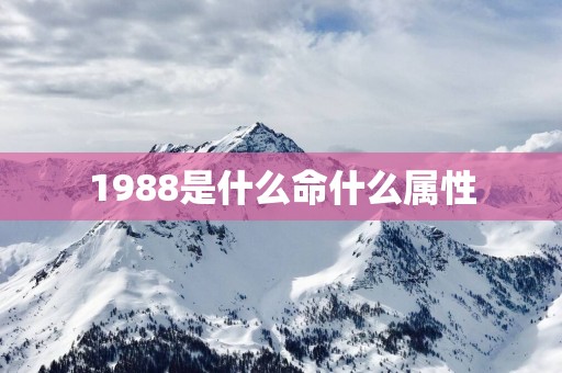 1988是什么命什么属性