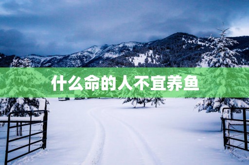 什么命的人不宜养鱼
