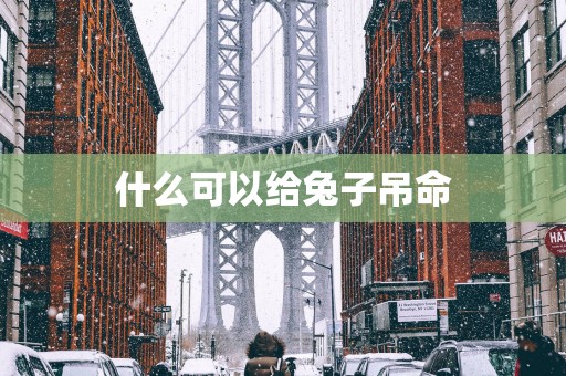 什么可以给兔子吊命