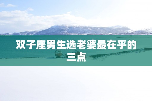 双子座男生选老婆最在乎的三点
